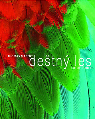 Deštný les Deštný les