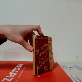 Slovník správné češtiny