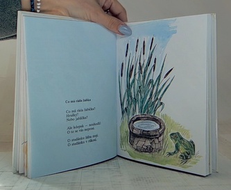 Jaro, léto, podzim, zima