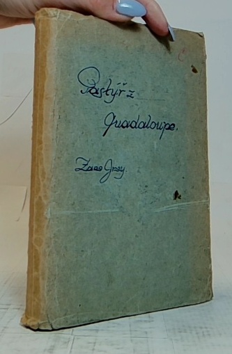 Pastýř z Gaudaloupe