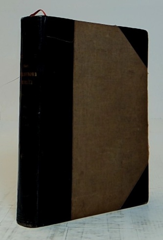 Bukanýrova nevěsta