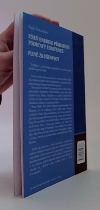 Píseň energie přirozené podstaty existence, píseň zkušenosti