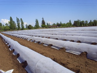 Netkaná zakrývací textilie 19g 1,6x100m bílá role