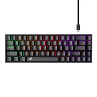 Mechanická herní klávesnice Havit KB881L