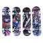 Skateboard ALU JUNIOR 28 SPARTAN - 70 x 20 x 11cm