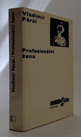 Profesionální žena