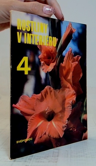 Rostliny v interiéru 4