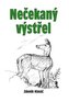 Nečekaný výstřel