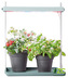 Lampa pro pěstování Light Garden - leaf green 39x26x48 cm