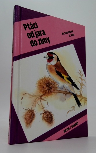 Ptáci od jara do zimy