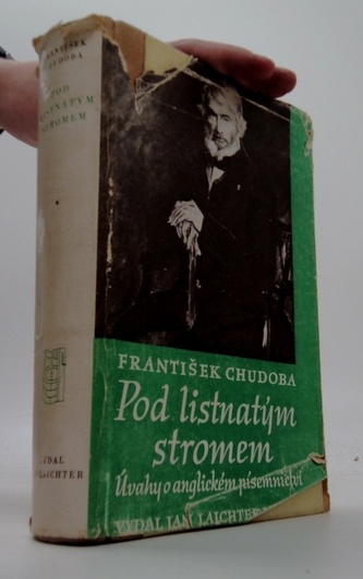 Pod listnatým stromem