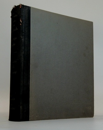 Česko-německý slovník živé mluvy