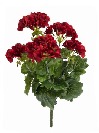 Červená Pelargonie, 42 cm