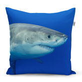 Polštář Žralok: 40x40 cm