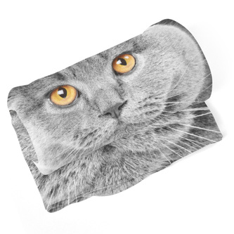 Deka Kočičí pohled: 190x140 cm