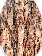 WC deska kůra stromu