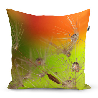 Polštář Odkvetlé pampelišky: 40x40 cm