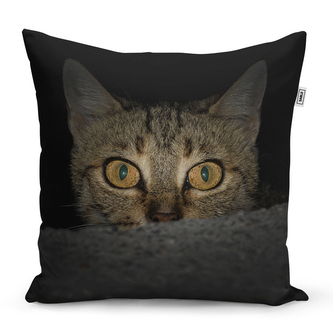 Polštář Kočka: 40x40 cm