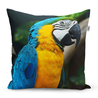 Polštář Ara: 40x40 cm