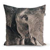 Polštář Slon: 60x60 cm