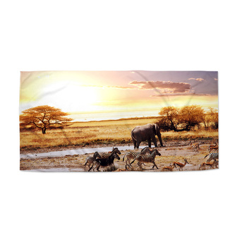 Ručník Safari: 30x50 cm