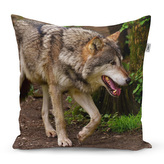 Polštář Vlk: 50x50 cm