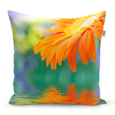 Polštář Oranžová gerbera: 60x60 cm