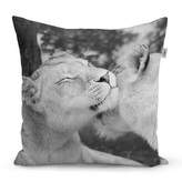 Polštář Lvice: 50x50 cm