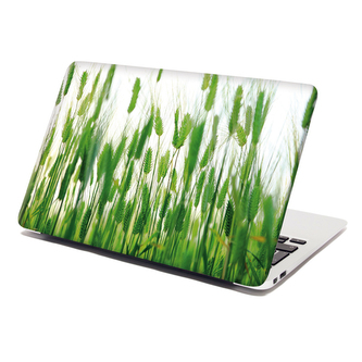 Samolepka na notebook Klasy: 38x26 cm