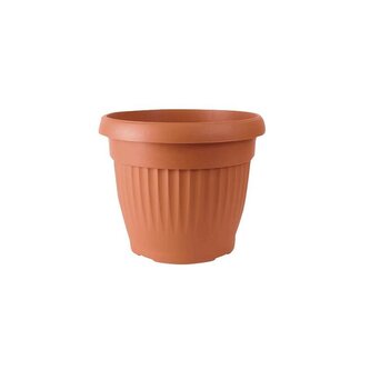 květ.TERRA NOVA DCE50 525mm