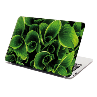 Samolepka na notebook Zelené listy: 29x20 cm