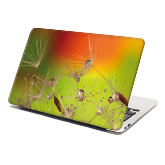 Samolepka na notebook Odkvetlé pampelišky: 38x26 cm