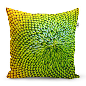 Polštář Detailní květ: 60x60 cm