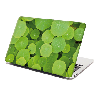 Samolepka na notebook Listy leknínu: 38x26 cm