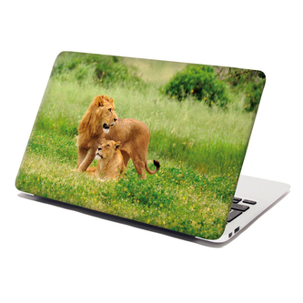 Samolepka na notebook Lev a lvice: 29x20 cm