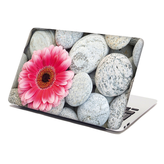 Samolepka na notebook Gerbera na kamenech: 38x26 cm