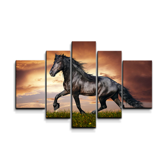 Obraz - 5-dílný Friský kůň: 125x90 cm