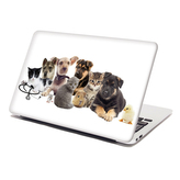 Samolepka na notebook Mláďátka 2: 29x20 cm