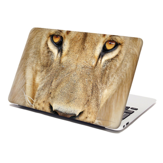 Samolepka na notebook Pohled lvice: 29x20 cm