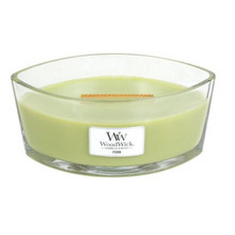 WoodWick Vonná svíčka loď Fern 453,6 g unisex