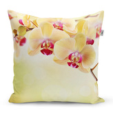 Polštář Orchidej 2: 60x60 cm