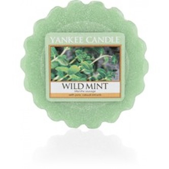 Yankee Candle Vonný vosk Wild Mint 22 g unisex