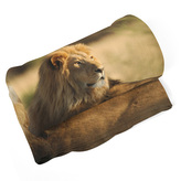 Deka Lev 3: 150x120 cm