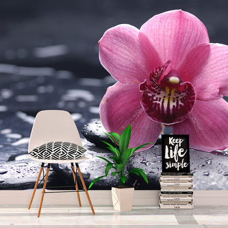 Tapeta Orchidej: 208x125 cm