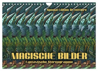 Magische Bilder - fantastische Stereogramme (Wandkalender 2025 DIN A4 quer), CALVENDO Monatskalender