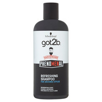 got2b Osvěžující šampon na vlasy a vousy (Refreshing Shampoo) Osvěžující šampon na vlasy a vousy (Refreshing Shampoo) - Objem 250 ml man