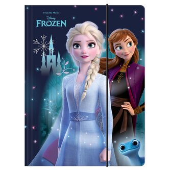 DESKY NA SEŠITY FROZEN