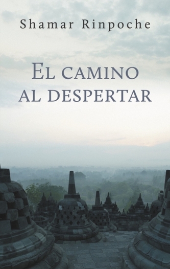 El camino al despertar