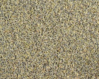 Bylinný čaj Levandule květ (Lavandulae flos) 50 g