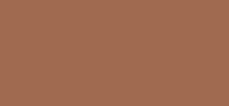 Bobbi Brown Bronzující pudr (Bronzing Powder) 9 g Odstín Golden Natural woman